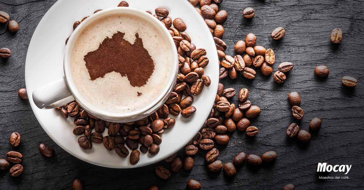 cultura cafetera australiana